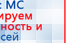 СКЭНАР-1-НТ (исполнение 01)  купить в Тавде, Аппараты Скэнар купить в Тавде, Скэнар официальный сайт - denasvertebra.ru